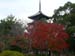 Kyoto Tenryuji Temple Nov 2006